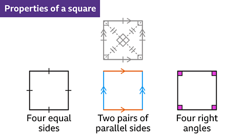 Properties of Quadrilaterals - Year 7