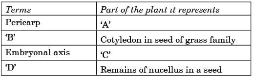 SA (I) – Short Answer Type I (2 Marks)