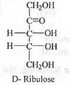 Past Year Question: Stereochemistry Of Organic Molecules | Organic Chemistry