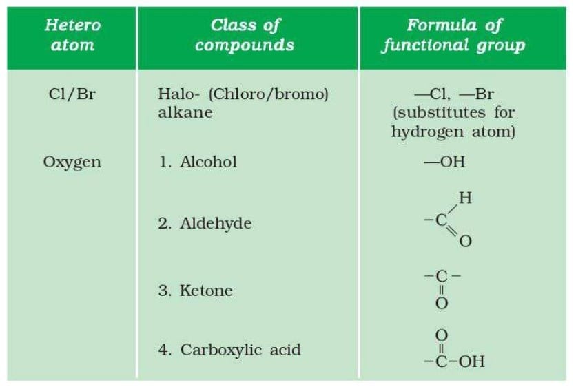 7. Functional Groups