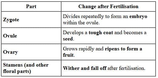 Class 10 Science Chapter 7 Previous Year Questions - How do Organisms Reproduce?
