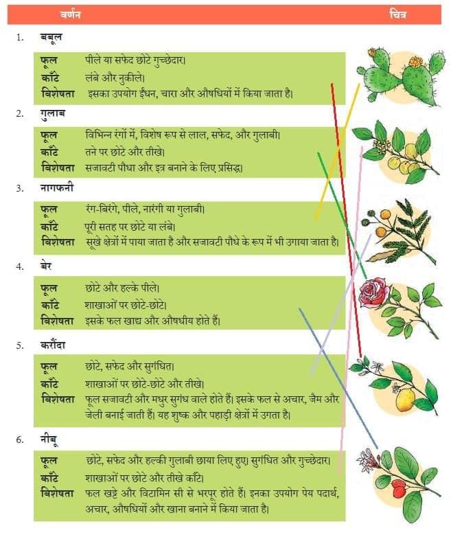 NCERT Solutions for Class 7 Hindi Chapter 3 फूल और काँटा