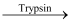 Digestion & Absorption (Old NCERT) NCERT Solutions | General Science for Competitive Exams - RRB Group D / RPF Constable