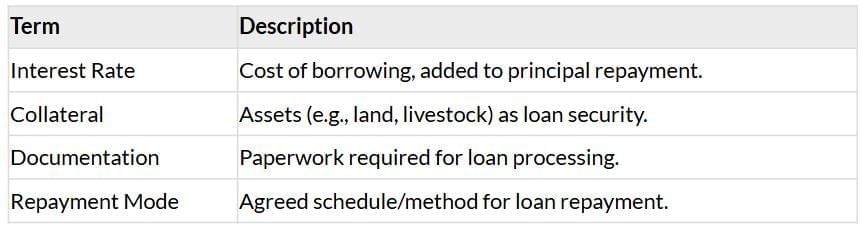 Cheatsheet: Money and Credit | Social Studies (SST) Class 10