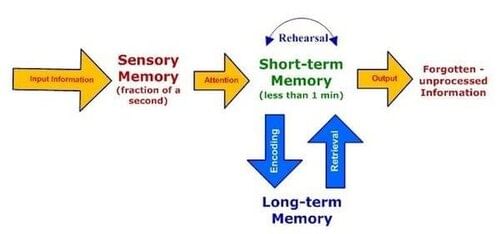 answer Image