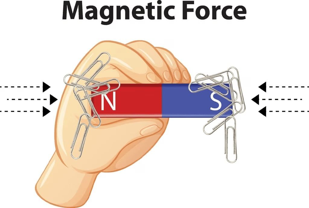 Force & Pressure Chapter Notes | Year 8 Physics (Cambridge) - Class 8
