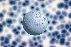 Science & Technology - 1 | Current Affairs & Hindu Analysis: Daily, Weekly & Monthly - UPSC