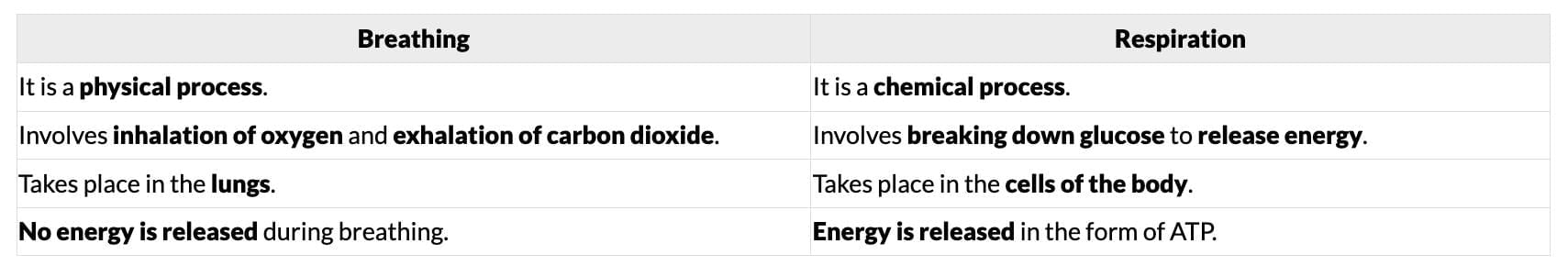 Class 10 Science Chapter 5 Question Answers - Life Processes