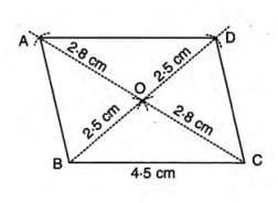 Case 2: One Side and Both Diagonals