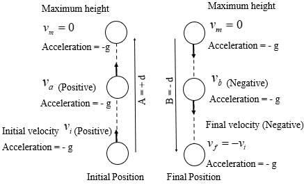 Cheatsheet: Gravitation | Science Class 9