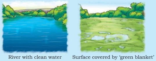Journey of a River NCERT Solutions | Our Wondrous World  Class 5 - New NCERT