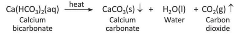 Water Chapter Notes | Chemistry for SSS 2