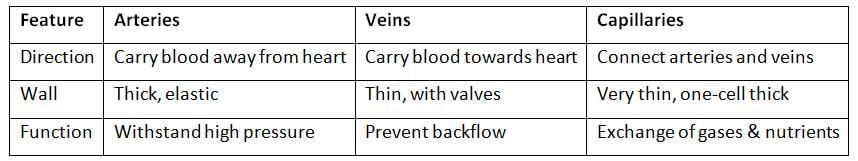 Class 8 Science: Sample Paper Solutions - 5 | Sample Papers For Class 8
