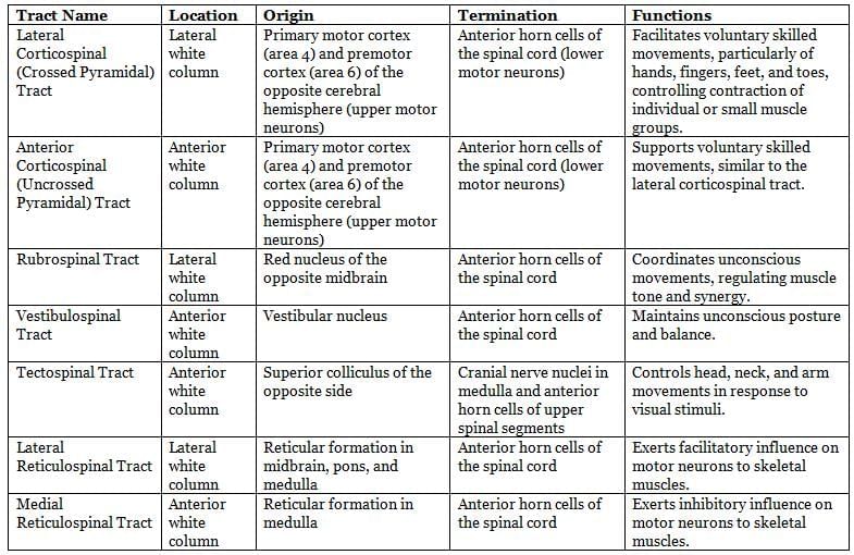 Neuroanatomy - 4 Chapter Notes | Anatomy - NEET PG