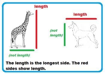 Measurement - Length, Weight and Capacity Chapter Notes | Mathematics Olympiad for Class 1