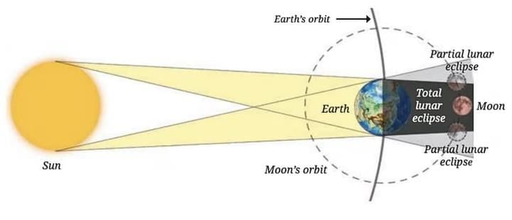 Unit Test Solutions: Earth, Moon and the Sun | Science (Curiosity) Class 7 - New NCERT