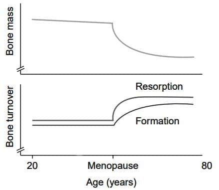 Long term Effects of Menopause