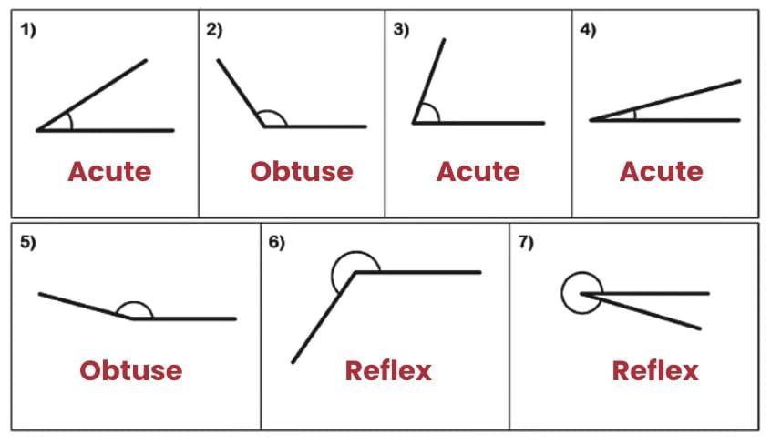 Important Questions: Angles as Turns | Mathematics (Maths Mela) Class 5 - New NCERT
