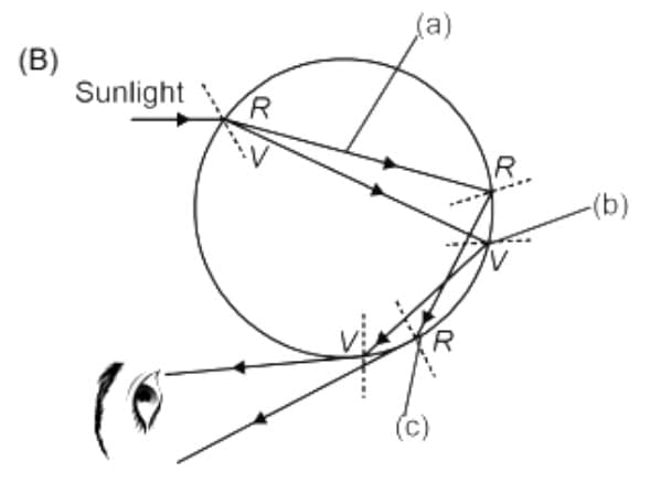 Q2: A person has to keep reading material much beyond 25 cm (say at 50 cm) from the eye for comfortable reading. Name the defect of vision he is suffering from. List two causes responsible for arising of this defect. Draw a labelled diagram showing correction of this defect using eye-glasses. Are these glasses convergent or divergent of light?  (3 Marks)