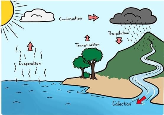 Unit Test (Solutions): Water—The Essence of Life | Our Wondrous World  Class 5 - New NCERT