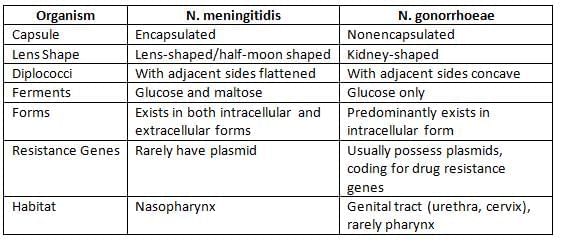 Neisseria and Moraxella Chapter Notes | Microbiology - NEET PG