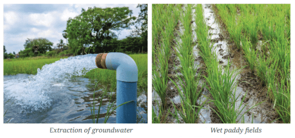 Natural Resources and Their Use Chapter Notes | Social Science Class 8 - New NCERT