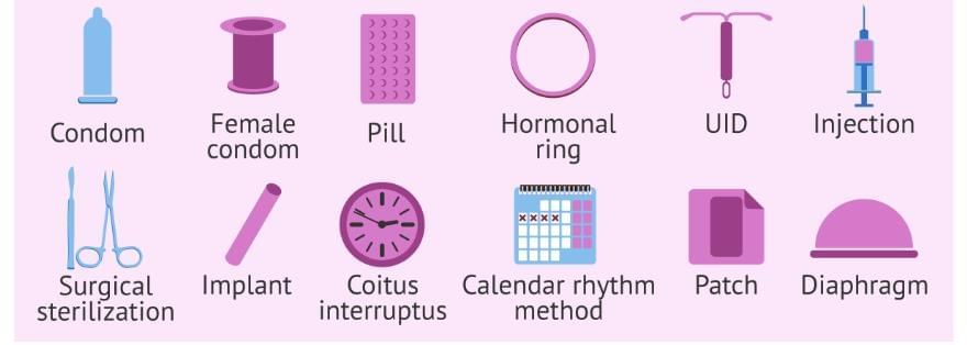 Class 10 Science Chapter 7 Previous Year Questions - How do Organisms Reproduce?