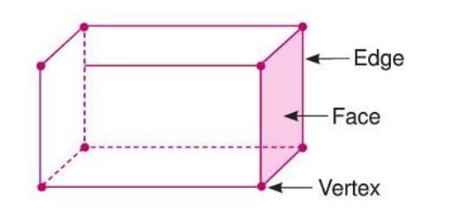 Visualizing Solid Shapes Chapter Notes | Mathematics Class 7 ICSE