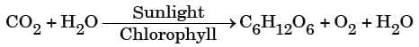 Class 10 Science Chapter 1 Previous Year Questions - Chemical Reactions and Equations