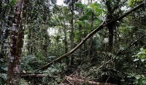 Environment and Ecology: May 2024 UPSC Current Affairs | Current Affairs & Hindu Analysis: Daily, Weekly & Monthly