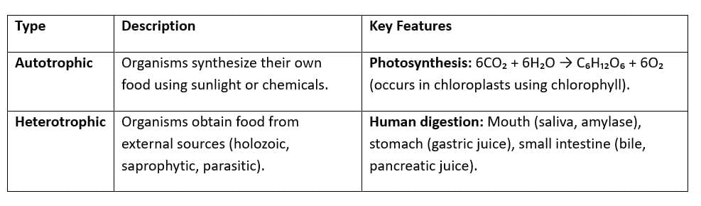 Cheat Sheet: Life Processes | Science Class 10