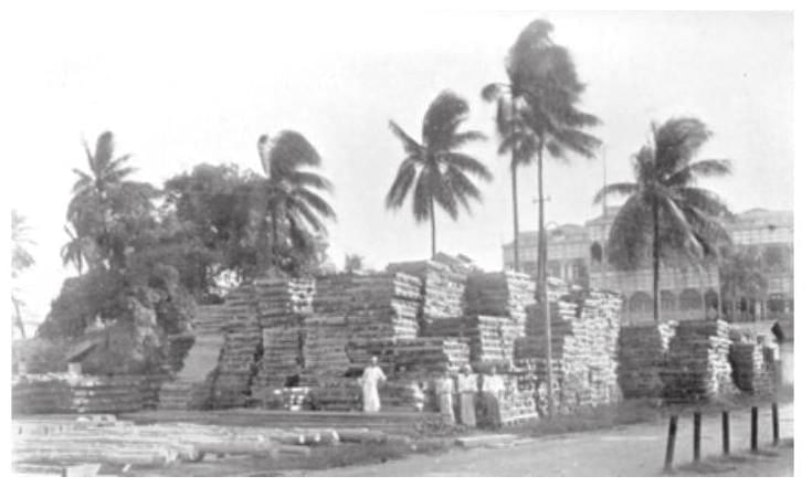 Class 9 History Chapter 4 Notes - Forest Society and Colonialism