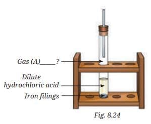 NCERT Textbook Solutions: Nature of Matter: Elements, Compounds, and Mixtures | Science Class 8