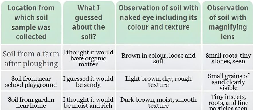 NCERT Based Activity: Nature`s Treasures | Science for Class 6