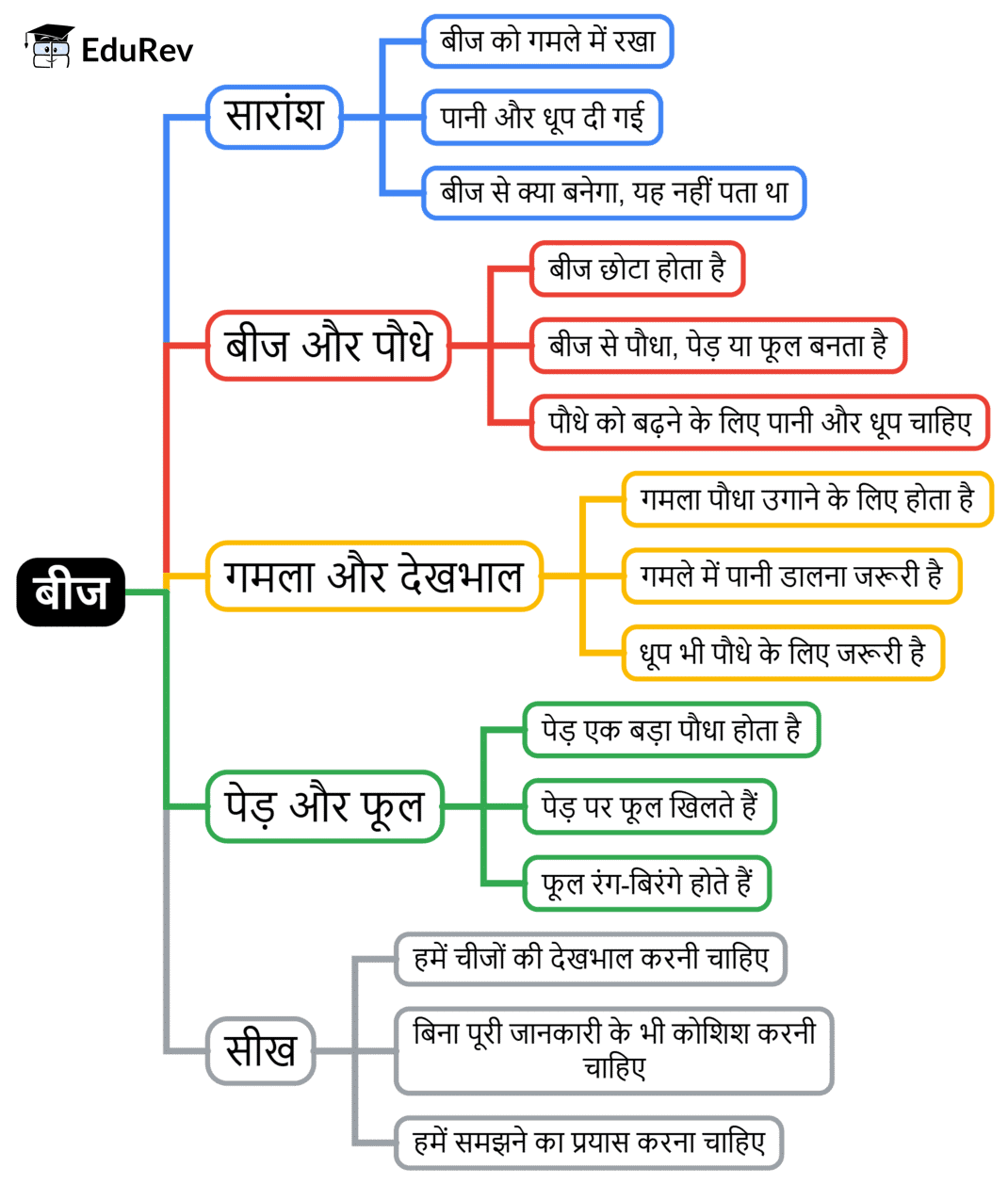 Mind Map: बीज | Hindi for Class 2 (सारंगी)