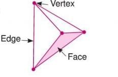 Visualizing Solid Shapes Chapter Notes | Mathematics Class 7 ICSE