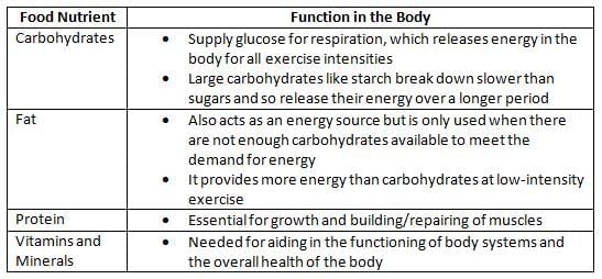Nutrition | Physical Education for GCSE/IGCSE - Year 11