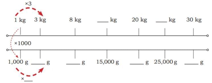 Weight and Capacity NCERT Solutions | Mathematics (Maths Mela) Class 5 - New NCERT