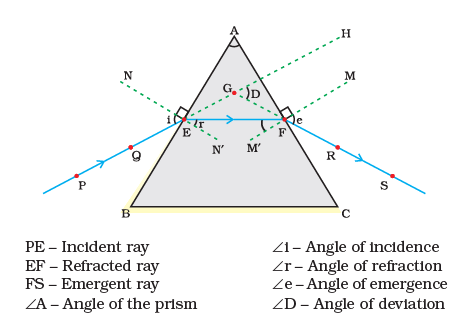 Diagram Based Questions: The Human Eye and the Colourful World | Science Class 10