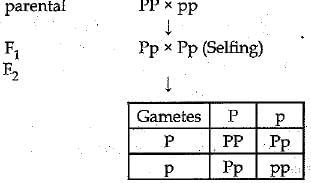 Class 10 Science: CBSE Sample Question Paper (2019-20) - 7 | Science Class 10
