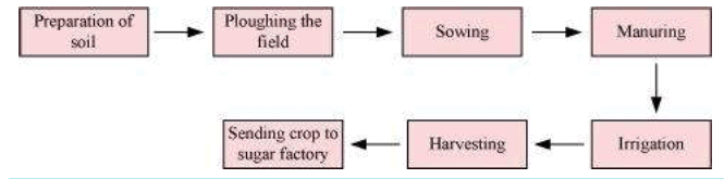 NCERT Solutions Chapter 1 : Crop Production and Management, Class 8th, Science