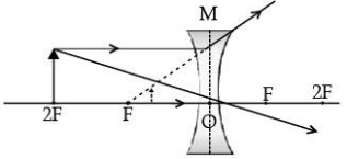 Class 10 Science: CBSE Sample Question Paper (2020-21) - 4 | Science Class 10