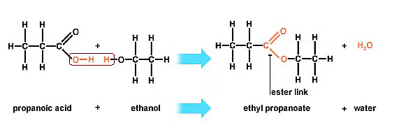 Class 10 Science Chapter 4 Previous Year Questions - Carbon and its compounds