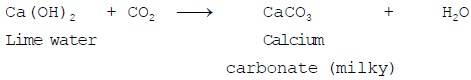 Aerobic & Anaerobic Respiration | Science Class 10