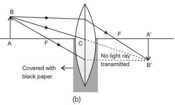 Class 10 Science Chapter 9 Previous Year Questions - Ray Optics - Light : Reflection and Refraction