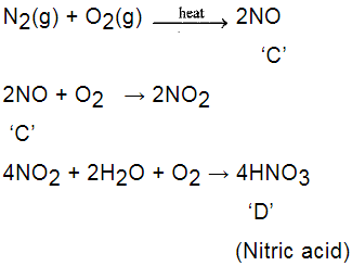 NCERT Exemplar: Metals & Non-metals | Science Class 10