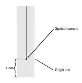 Theory - Separation of Mixtures Using Different Techniques Chemistry, Class 9 Science | Science Class 9