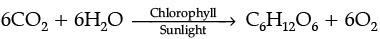 Class 10 Science: CBSE Sample Question Paper (2020-21) - 4 | Science Class 10