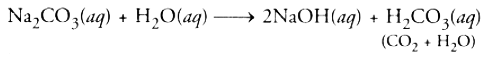 Class 10 Science Chapter 2 HOTS Questions - Acids, Bases and Salts