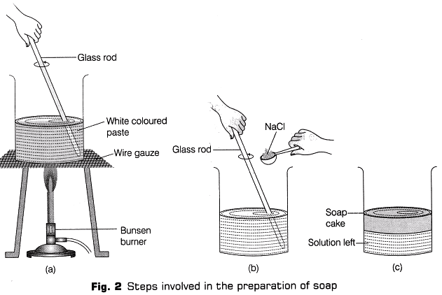 Lab Manual: Soap Preparation - Class 10